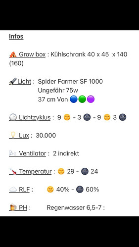 Growreport Bild 12