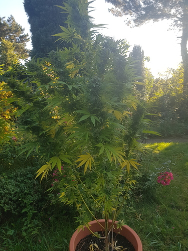 Growreport Bild 20
