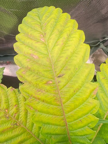 Growreport Bild 8