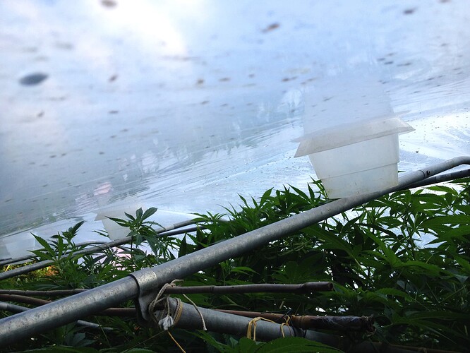 Growreport Bild 3