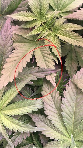 12AAA07C-82C5-45C9-9652-96195CA60E34