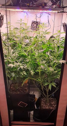 Growreport Bild 4