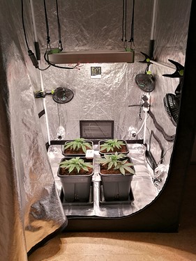 Growreport Bild 8