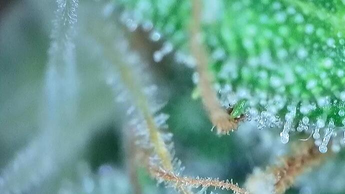 signal-2022-10-25-191504_004