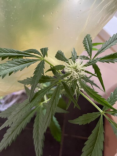 Growreport Bild 11
