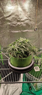IMG_20230817_023602