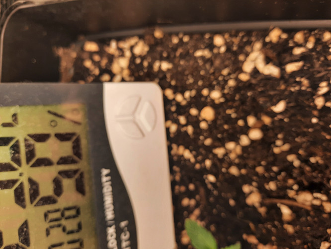 Growreport Bild 8