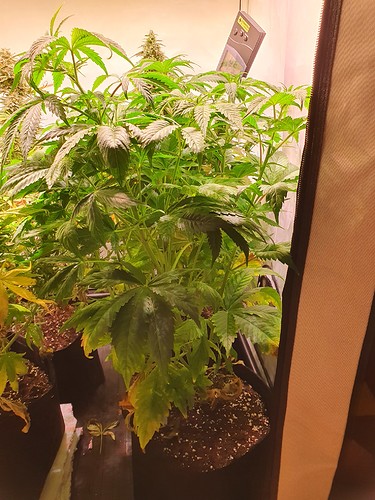 Growreport Bild 18