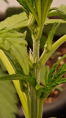 Growreport Bild 7