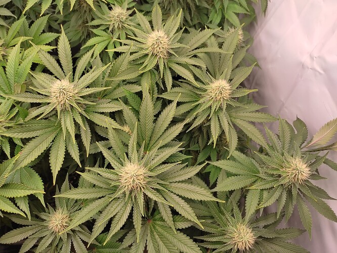 Growreport Bild 10