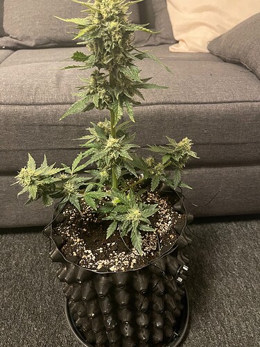 Growreport Bild 3