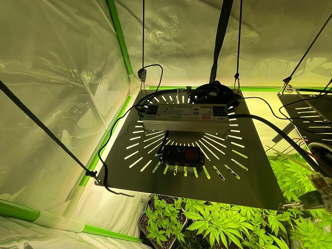 Growreport Bild 24