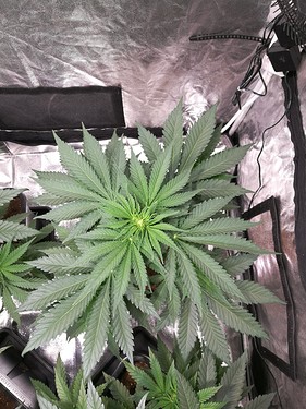 Growreport Bild 10