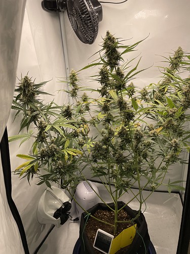 Growreport Bild 20