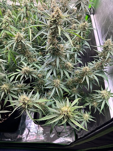 Growreport Bild 8