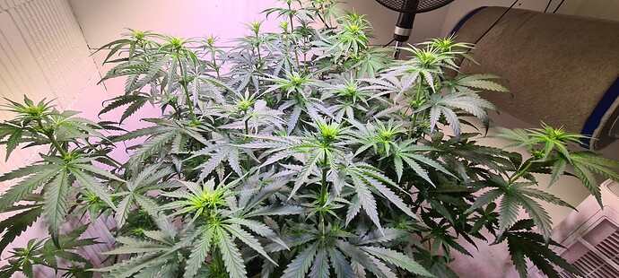 Growreport Bild 5