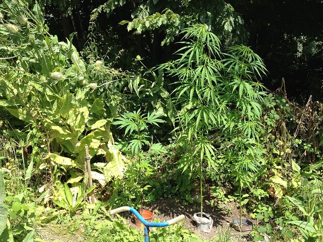 Growreport Bild 23