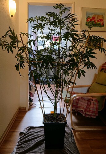 Growreport Bild 14