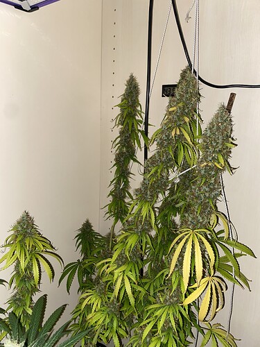 Growreport Bild 15