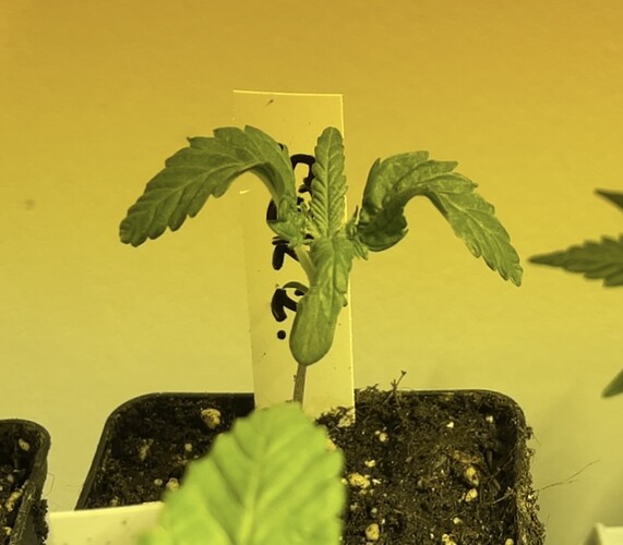 Growreport Bild 9