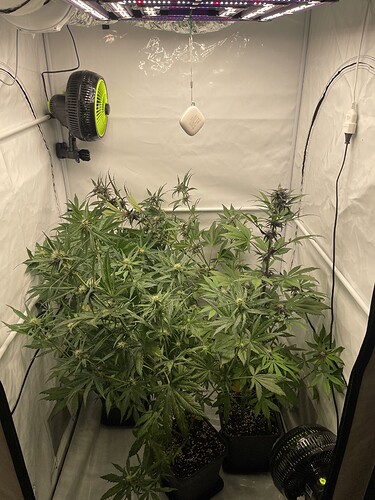 Growreport Bild 1