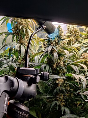 Growreport Bild 1