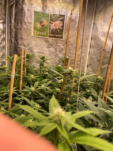 Growreport Bild 7