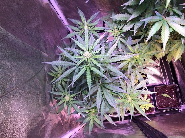 Growreport Bild 15