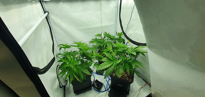 Growreport Bild 9