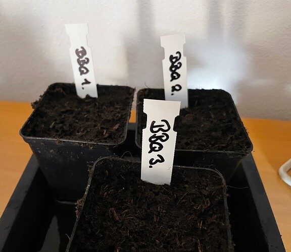 Growreport Bild 2