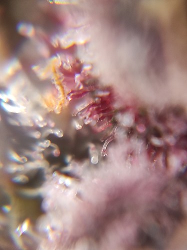 Growreport Bild 14