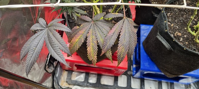 Growreport Bild 10