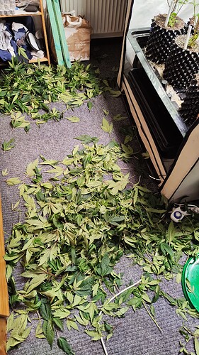Growreport Bild 5