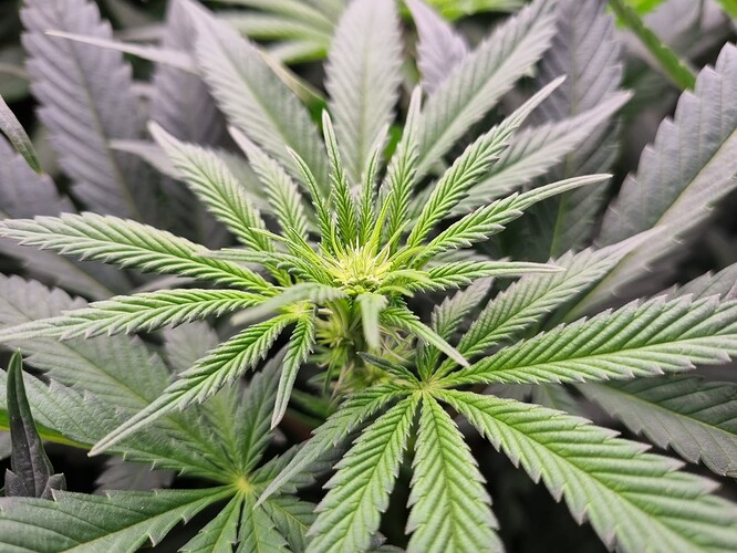 Growreport Bild 4