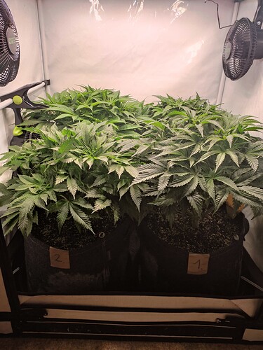 Growreport Bild 18