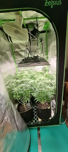 Growreport Bild 18