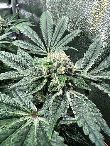 Growreport Bild 13