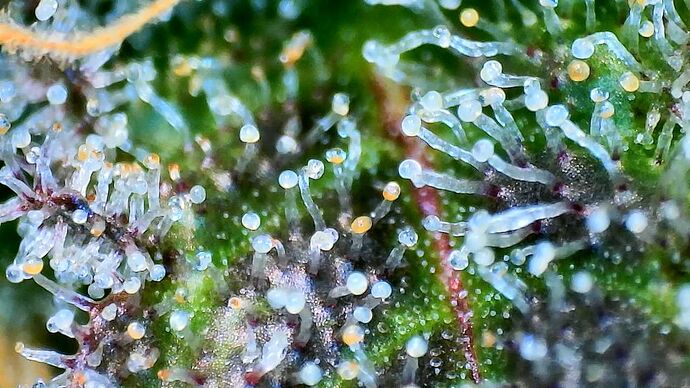 Growreport Bild 23