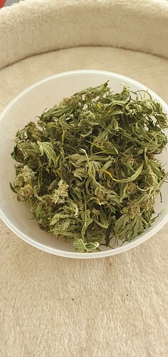 Growreport Bild 6