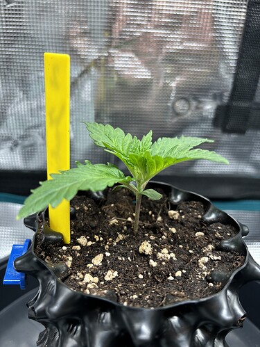 Growreport Bild 26