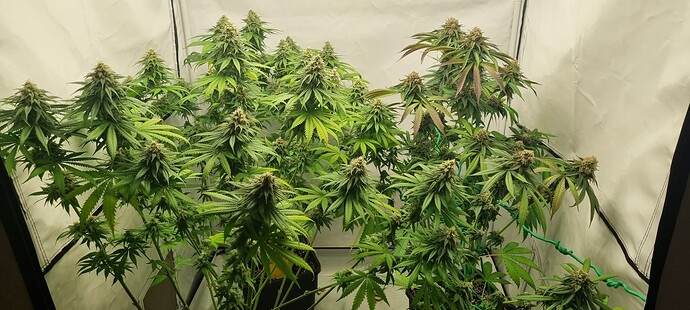 Growreport Bild 10