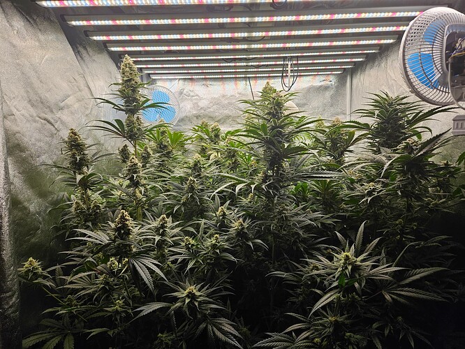 Growreport Bild 48
