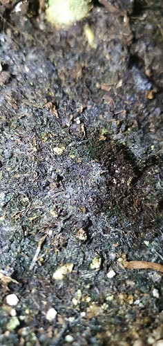 Growreport Bild 8