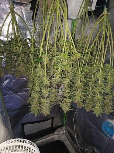 Growreport Bild 1