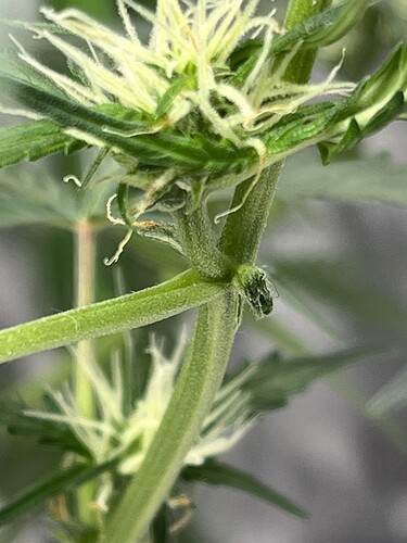 Growreport Bild 17