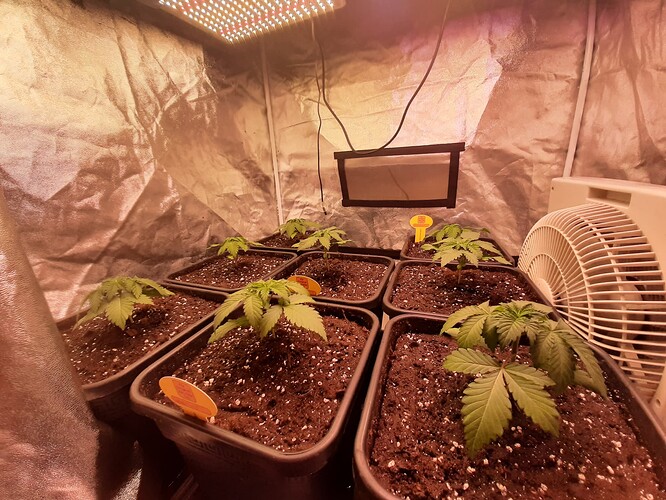 Growreport Bild 2