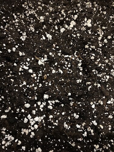 Growreport Bild 8
