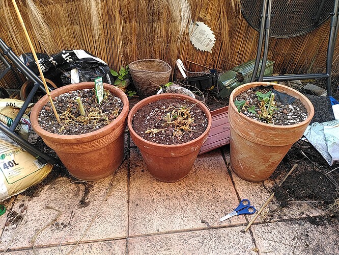 Growreport Bild 31