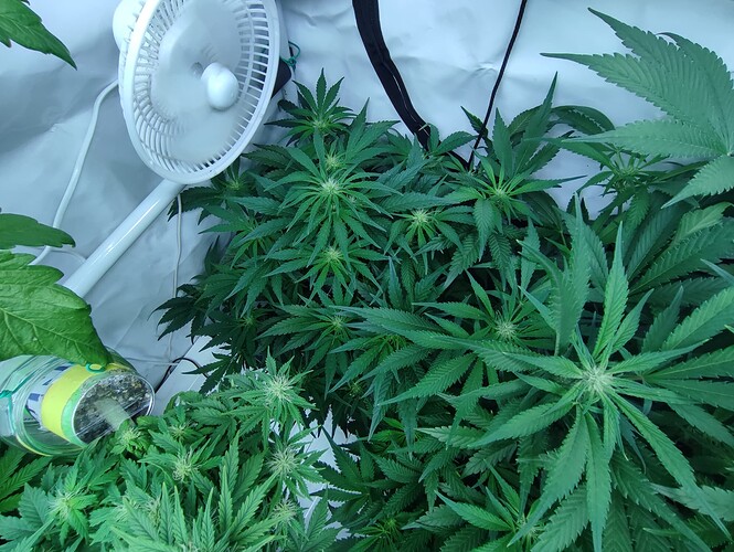 Growreport Bild 10