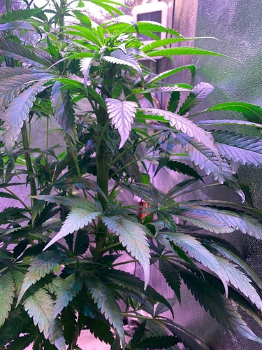 Growreport Bild 9